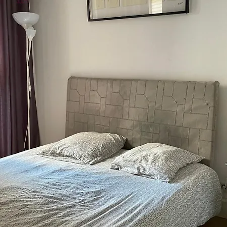 公寓 Le Honeymoon - Petite France *